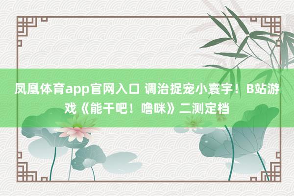凤凰体育app官网入口 调治捉宠小寰宇！B站游戏《能干吧！噜咪》二测定档