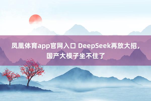 凤凰体育app官网入口 DeepSeek再放大招，国产大模子坐不住了