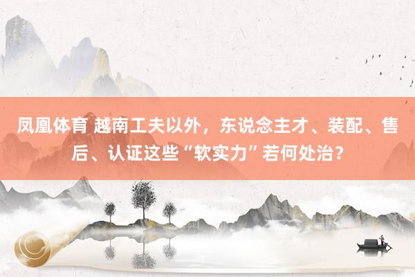 凤凰体育 越南工夫以外，东说念主才、装配、售后、认证这些“软实力”若何处治？