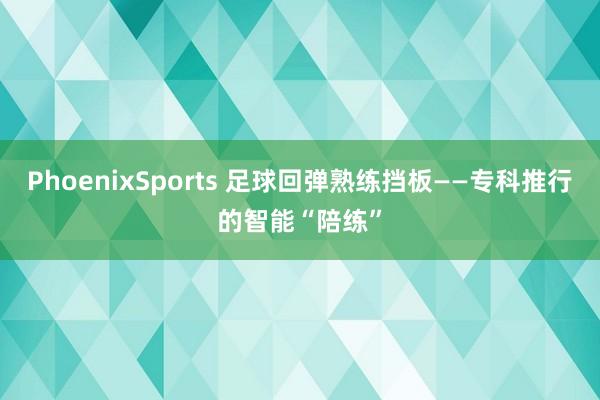 PhoenixSports 足球回弹熟练挡板——专科推行的智能“陪练”