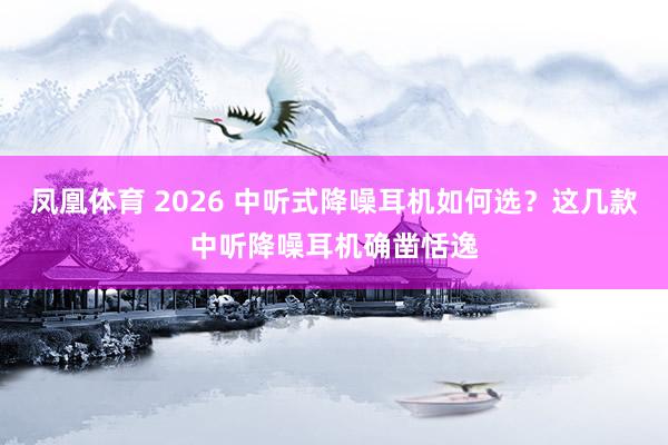 凤凰体育 2026 中听式降噪耳机如何选？这几款中听降噪耳机确凿恬逸