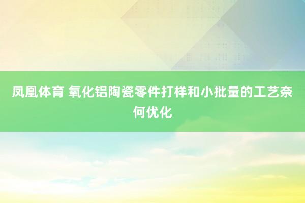 凤凰体育 氧化铝陶瓷零件打样和小批量的工艺奈何优化