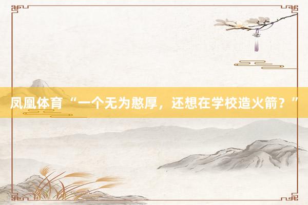 凤凰体育 “一个无为憨厚，还想在学校造火箭？”