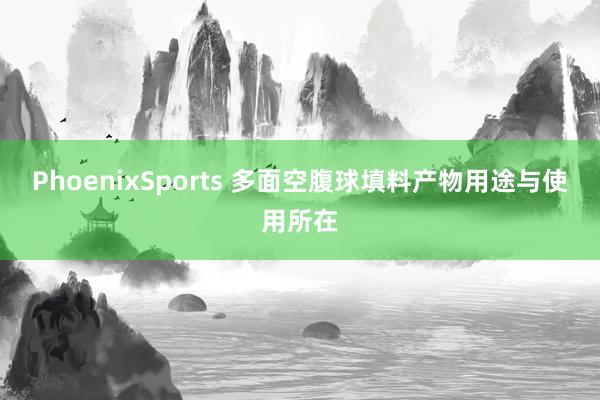 PhoenixSports 多面空腹球填料产物用途与使用所在