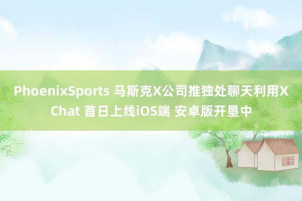 PhoenixSports 马斯克X公司推独处聊天利用XChat 首日上线iOS端 安卓版开垦中