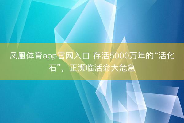 凤凰体育app官网入口 存活5000万年的“活化石”，正濒临活命大危急