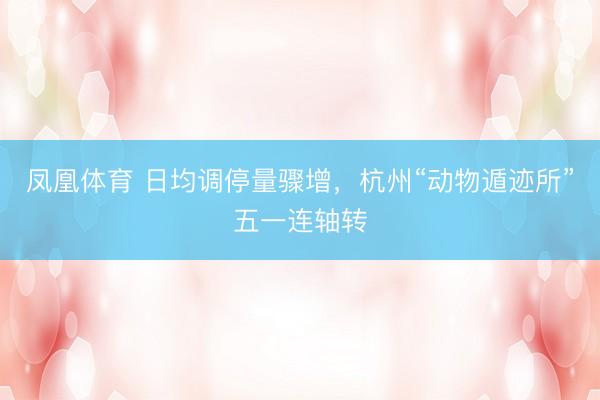 凤凰体育 日均调停量骤增，杭州“动物遁迹所”五一连轴转