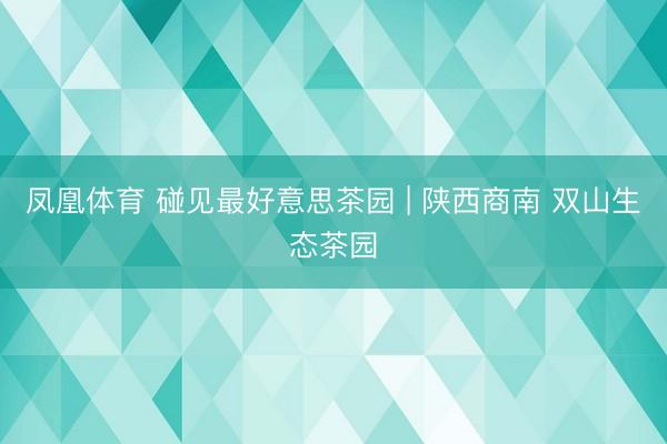 凤凰体育 碰见最好意思茶园 | 陕西商南 双山生态茶园